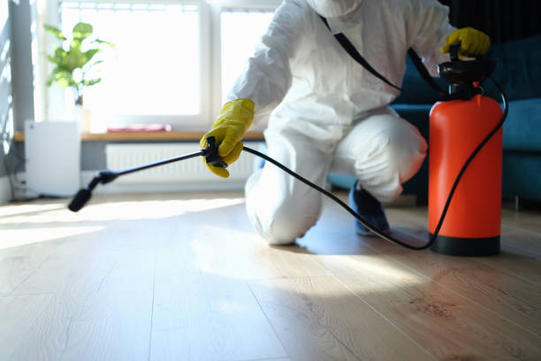 Flea Control Services in Sparta, TN