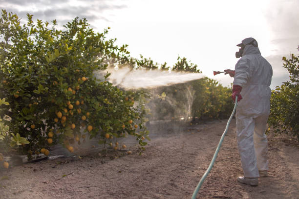 Best Pest Prevention Services  in Sparta, TN