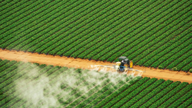 Best Mosquito Control Services  in Sparta, TN